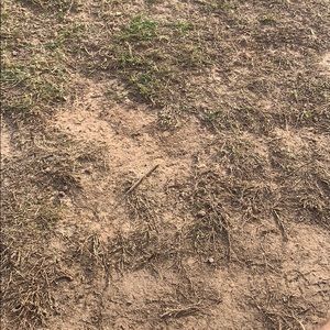 Meet your Posher, Caleb